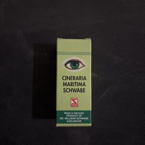 Cineraria maritima schwabe