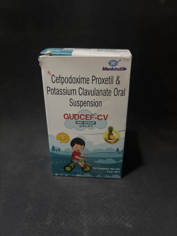 Gudcef cv